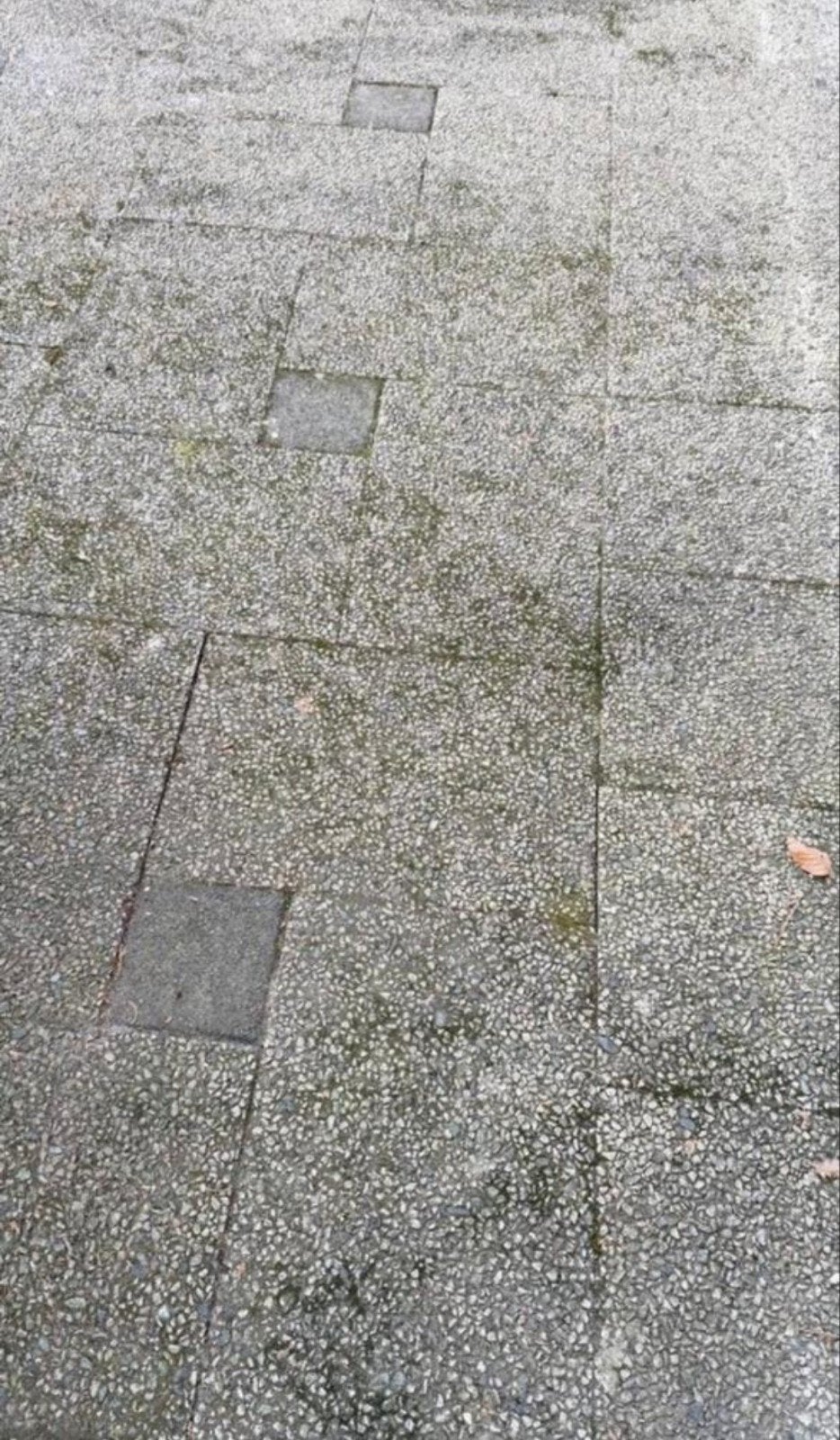 Gratis af te halen: Grijze tuintegels 60x40 cm, Ophalen of Verzenden, Gebruikt, Vloertegels