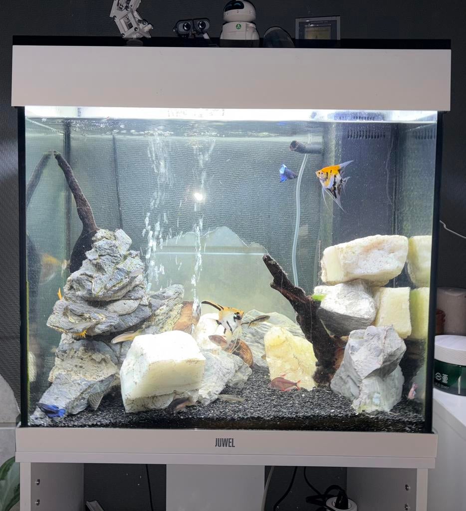 Mooi aquarium, Dieren en Toebehoren, Ophalen, Zo goed als nieuw, Leeg aquarium