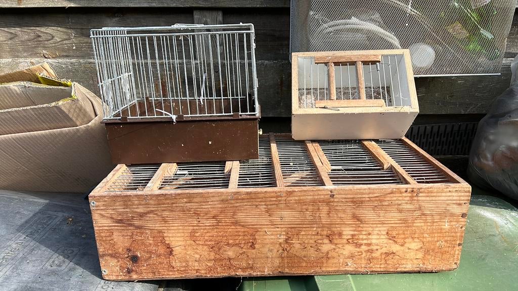 Kooi transpostkooi, Meerdere dieren, Parkiet