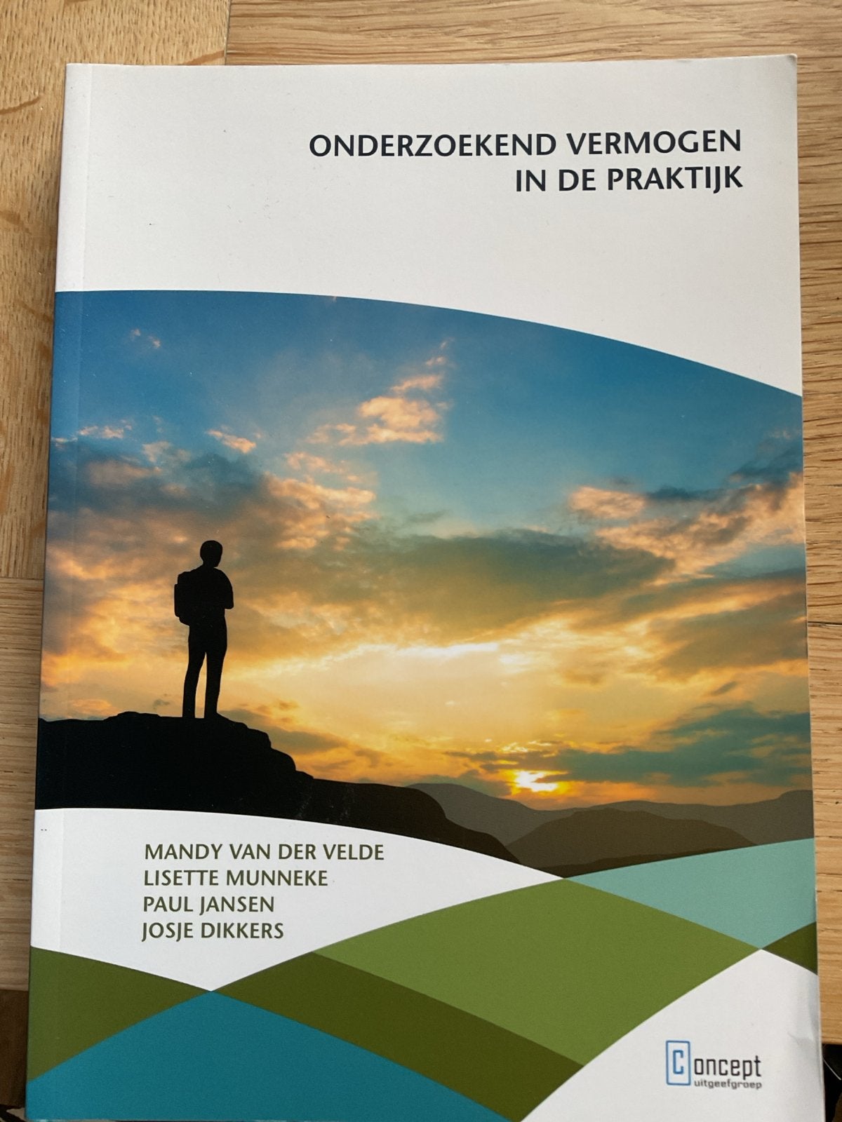 Onderzoekend Vermogen in de Praktijk - HBO-professionals, Ophalen, Zo goed als nieuw, HBO