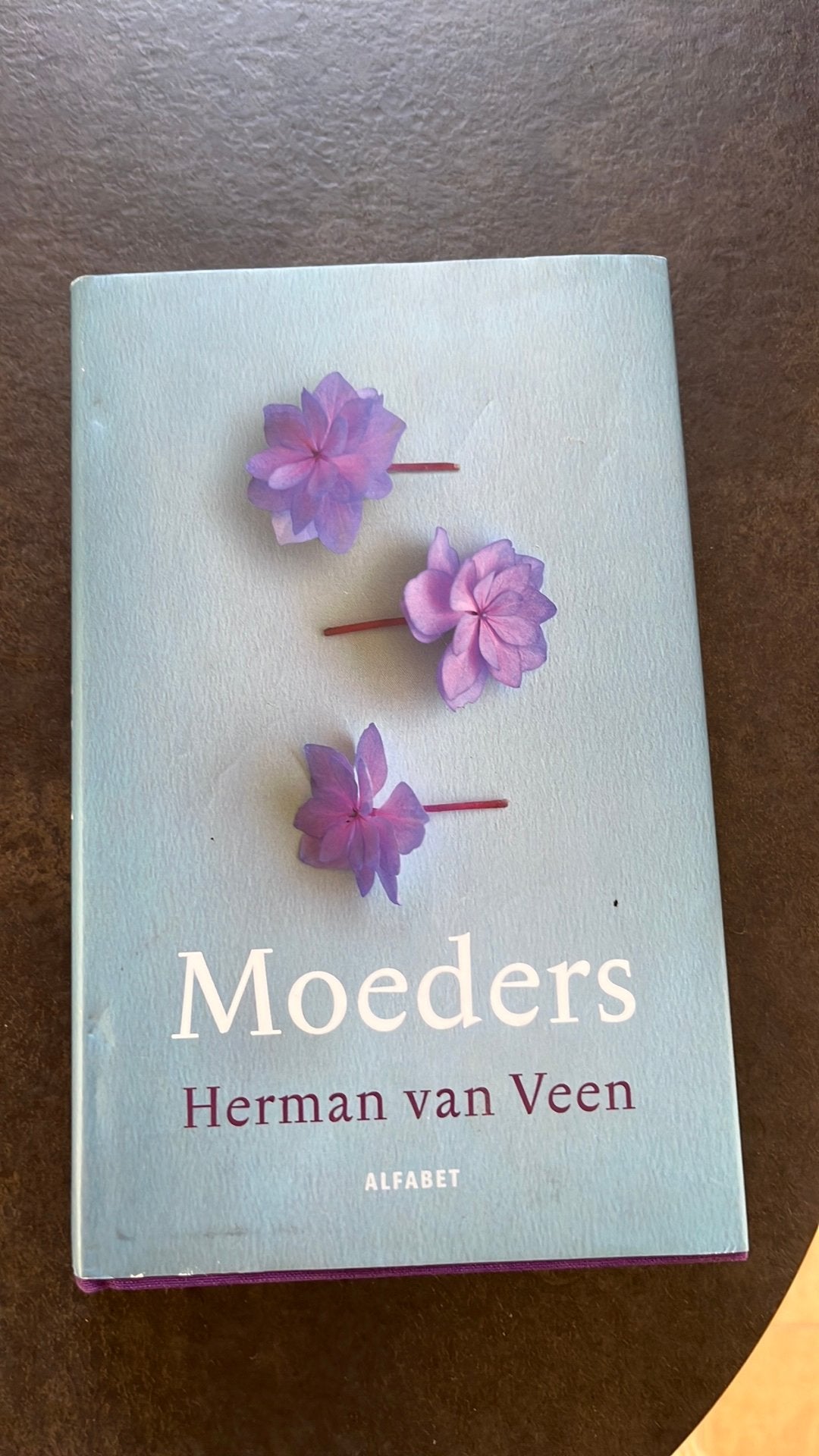 Moeders van Herman van Veen, Ophalen of Verzenden, Zo goed als nieuw, Spiritualiteit algemeen, Verhaal of Roman