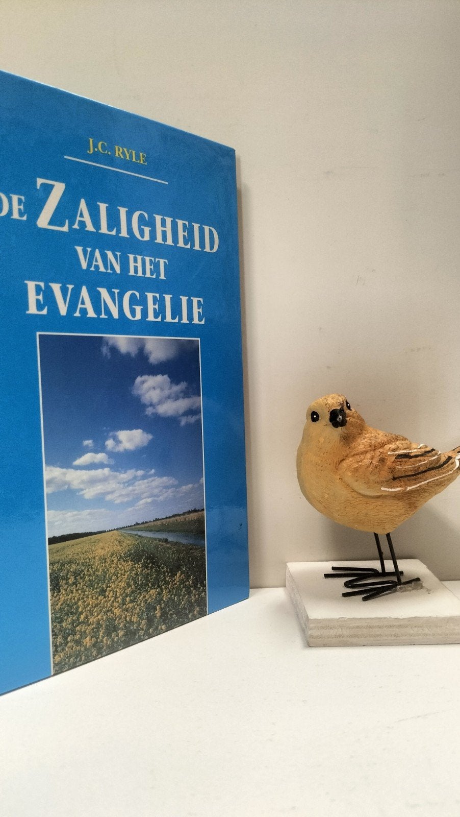 Ryle, J.C.; De Zaligheid van het Evangelie, Ophalen of Verzenden, Gelezen, Christendom | Protestants