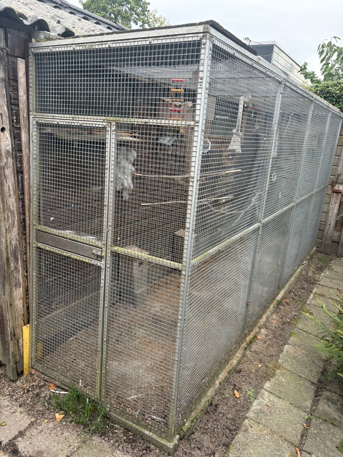 Binnen en buiten voliere met vogels (6), Dieren en Toebehoren, Ophalen, Zo goed als nieuw, Aluminium, Volière