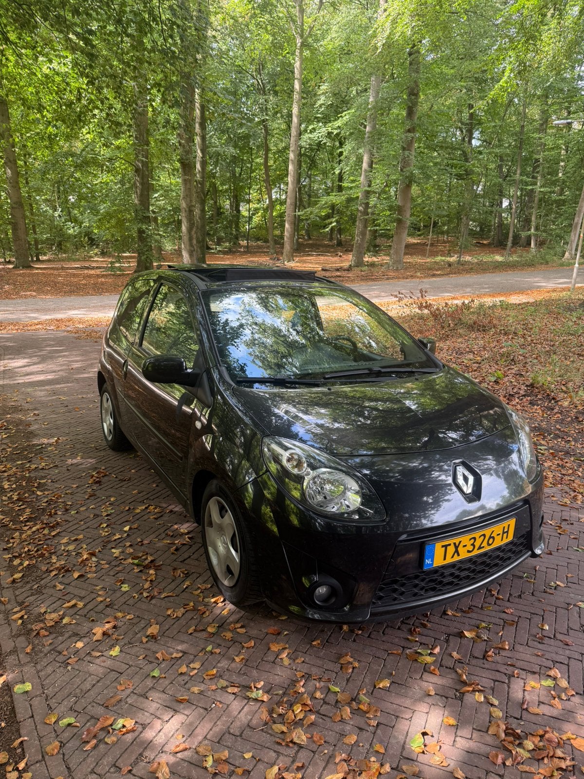 Renault Twingo 1.2 55KW E3 2011 Zwart panoramadak, Euro 5, 4 cilinders, 4 stoelen, Zwart