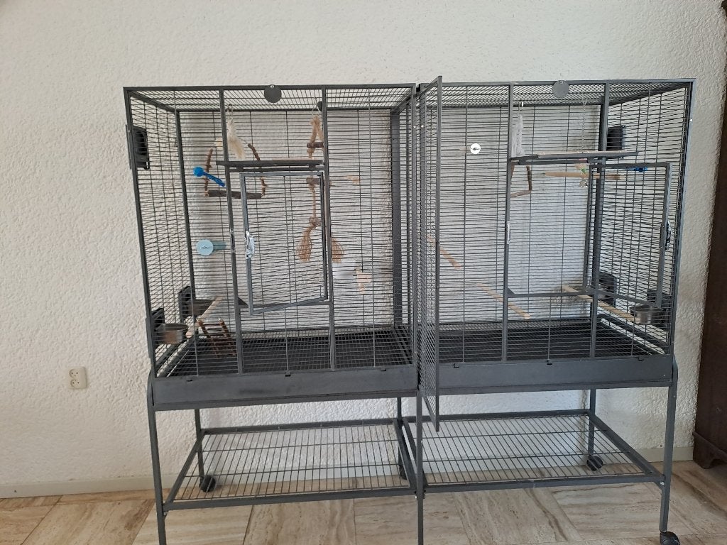 Grote vogelkooi., Dieren en Toebehoren, Ophalen, Zo goed als nieuw, Metaal, Vogelkooi