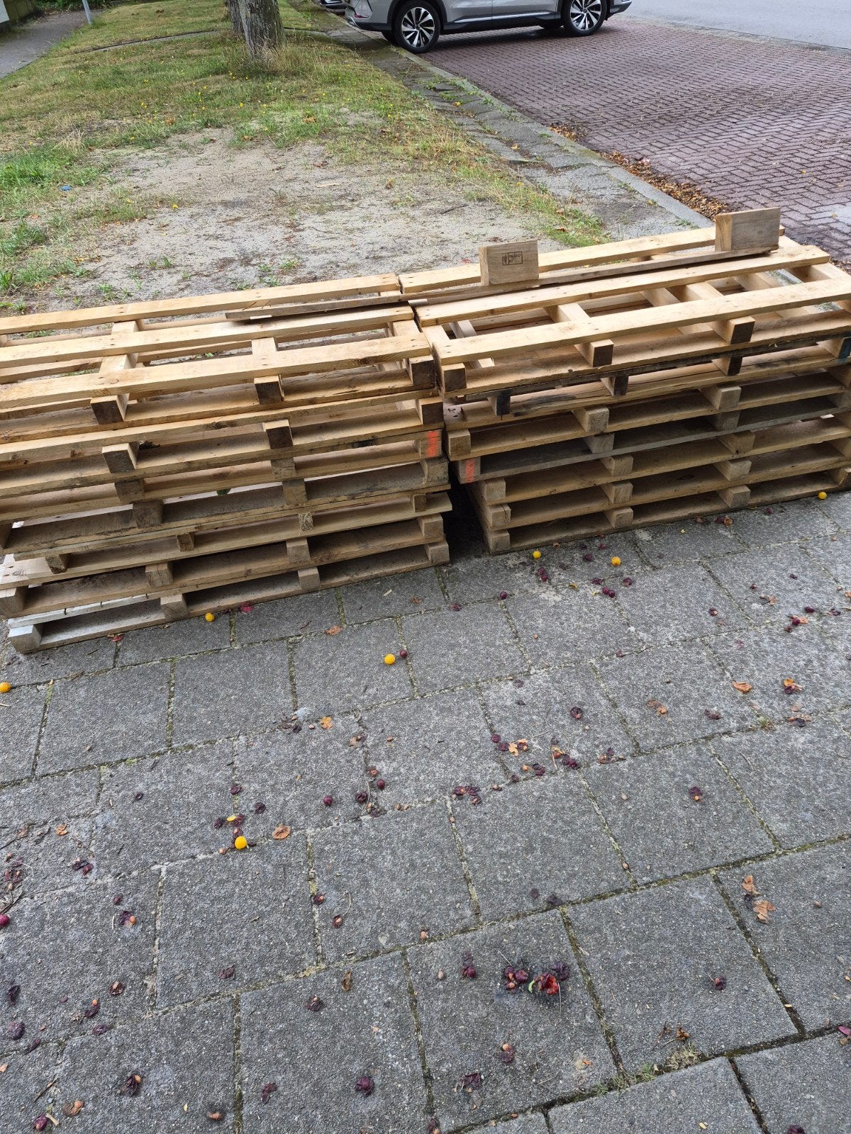 Pallets, Ophalen, Overige houtsoorten, Minder dan 200 cm, Pallet