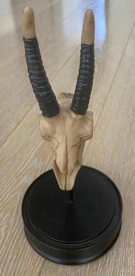 Skull op houten standaard, nieuw, Ophalen of Verzenden, Nieuw