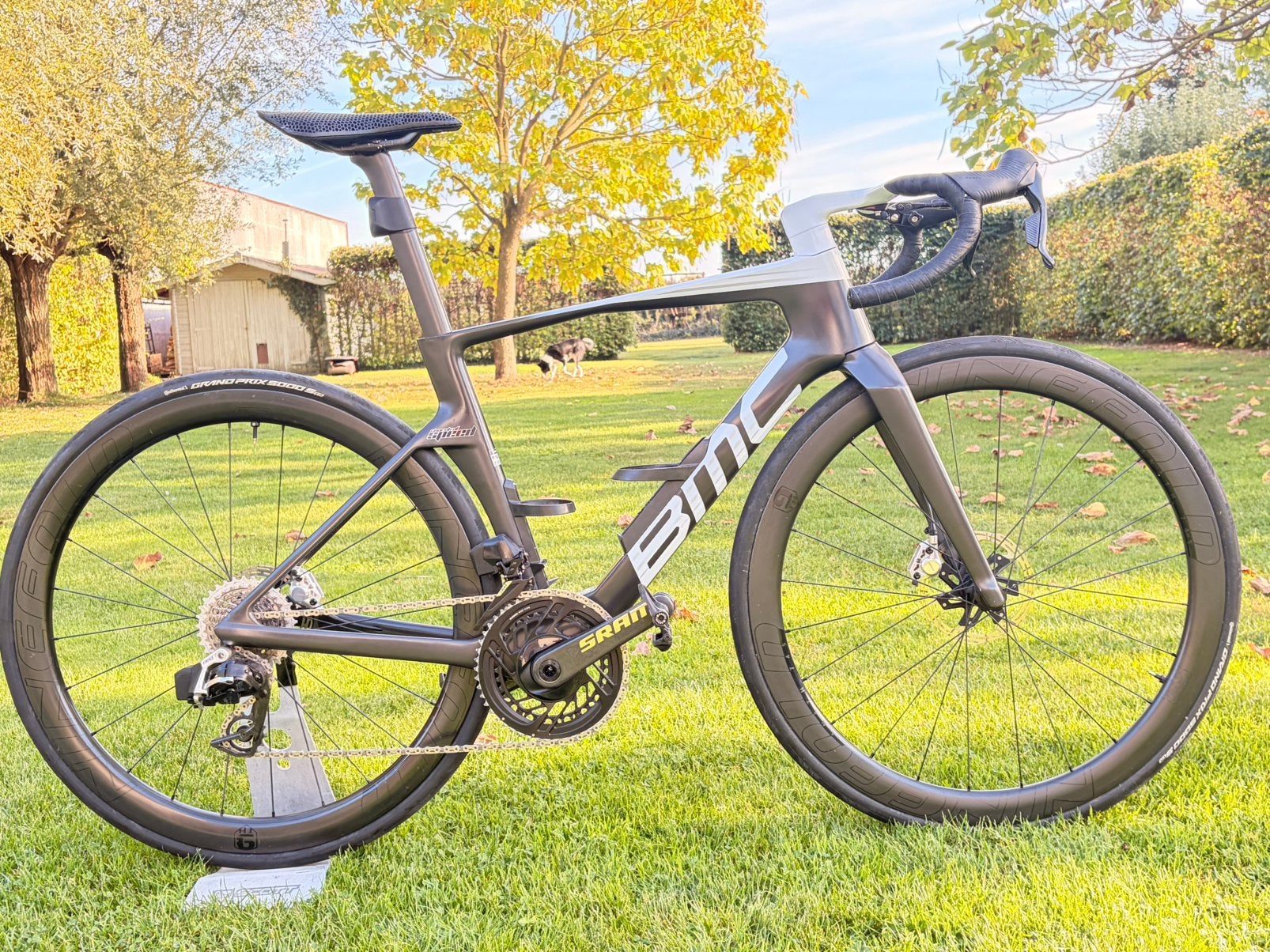 BMC Teammachine R Limited, Fietsen en Brommers, Carbon, 49 tot 53 cm, Zo goed als nieuw, Meer dan 20 versnellingen
