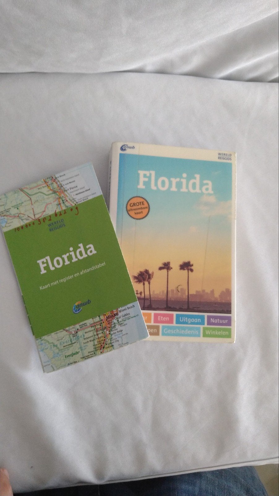 Axel Pinck - Wereldreisgids Florida, Ophalen of Verzenden, Reisgids of -boek, ANWB, Axel Pinck