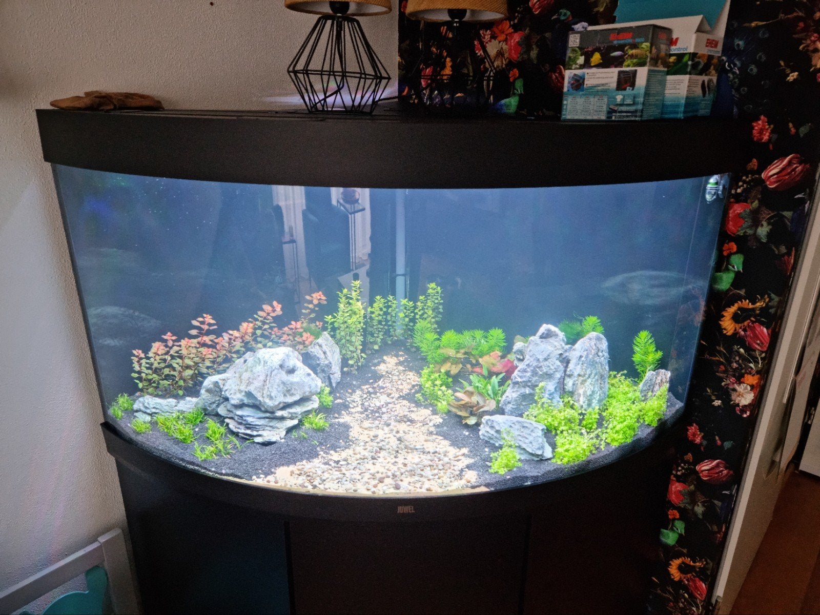 Juwel hoekaquarium Trigon 350, Dieren en Toebehoren, Ophalen, Zo goed als nieuw, Gevuld zoetwateraquarium