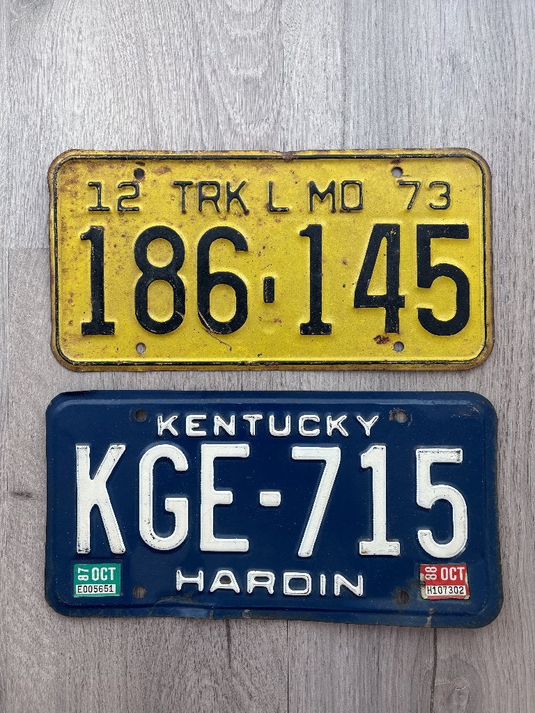 Vintage Amerikaanse kentekenplaten, Ophalen of Verzenden, Gebruikt, Auto's