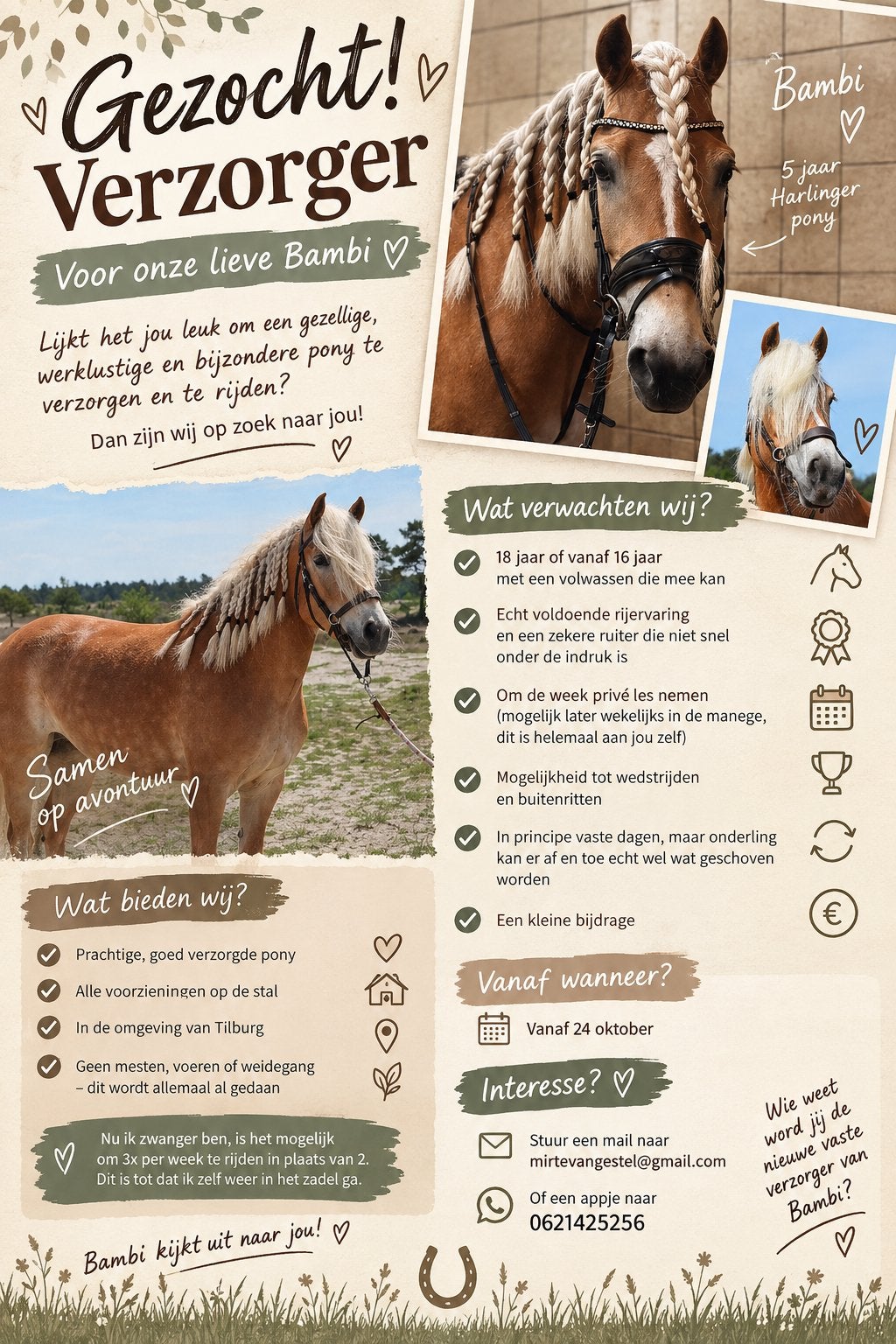Verzorg/lease pony aangeboden, Dieren en Toebehoren, Ophalen of Verzenden