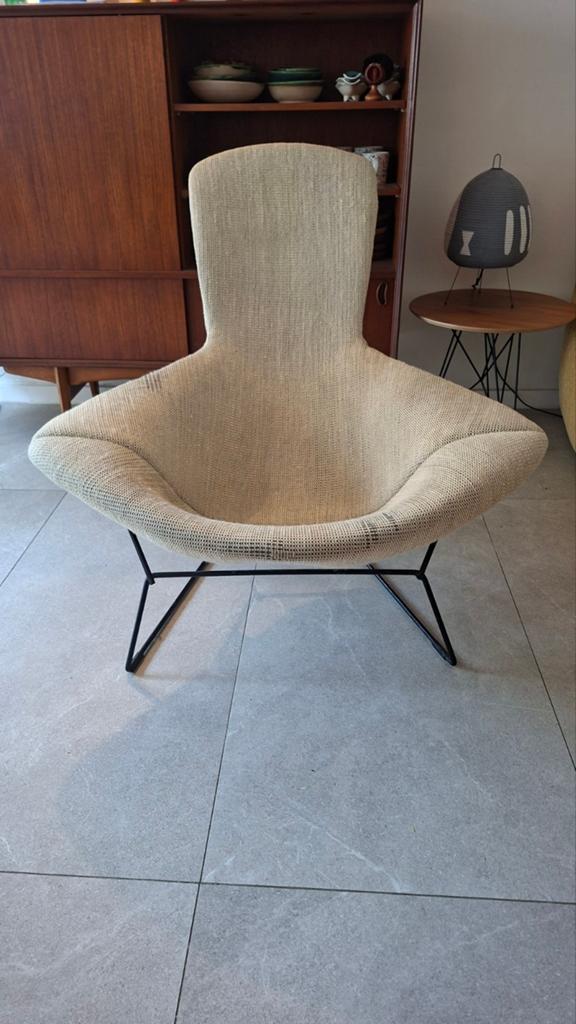 Knoll bird chair, Ophalen of Verzenden