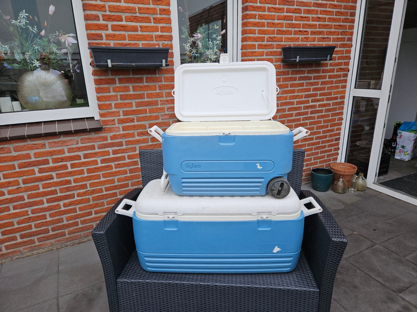 Igloo koelboxen, Ophalen of Verzenden, Koelelement