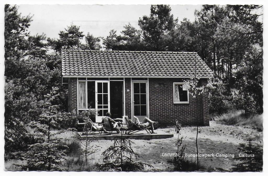 Ommen Bungalowpark Calluna gelopen Ansichtkaart (B7478 ), Ophalen of Verzenden, 1960 tot 1980, Gelopen, Overijssel
