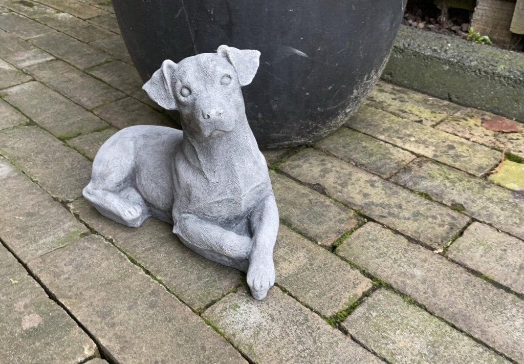 Betonnen Jack Russel Beeld, Ophalen, Zo goed als nieuw, Dier