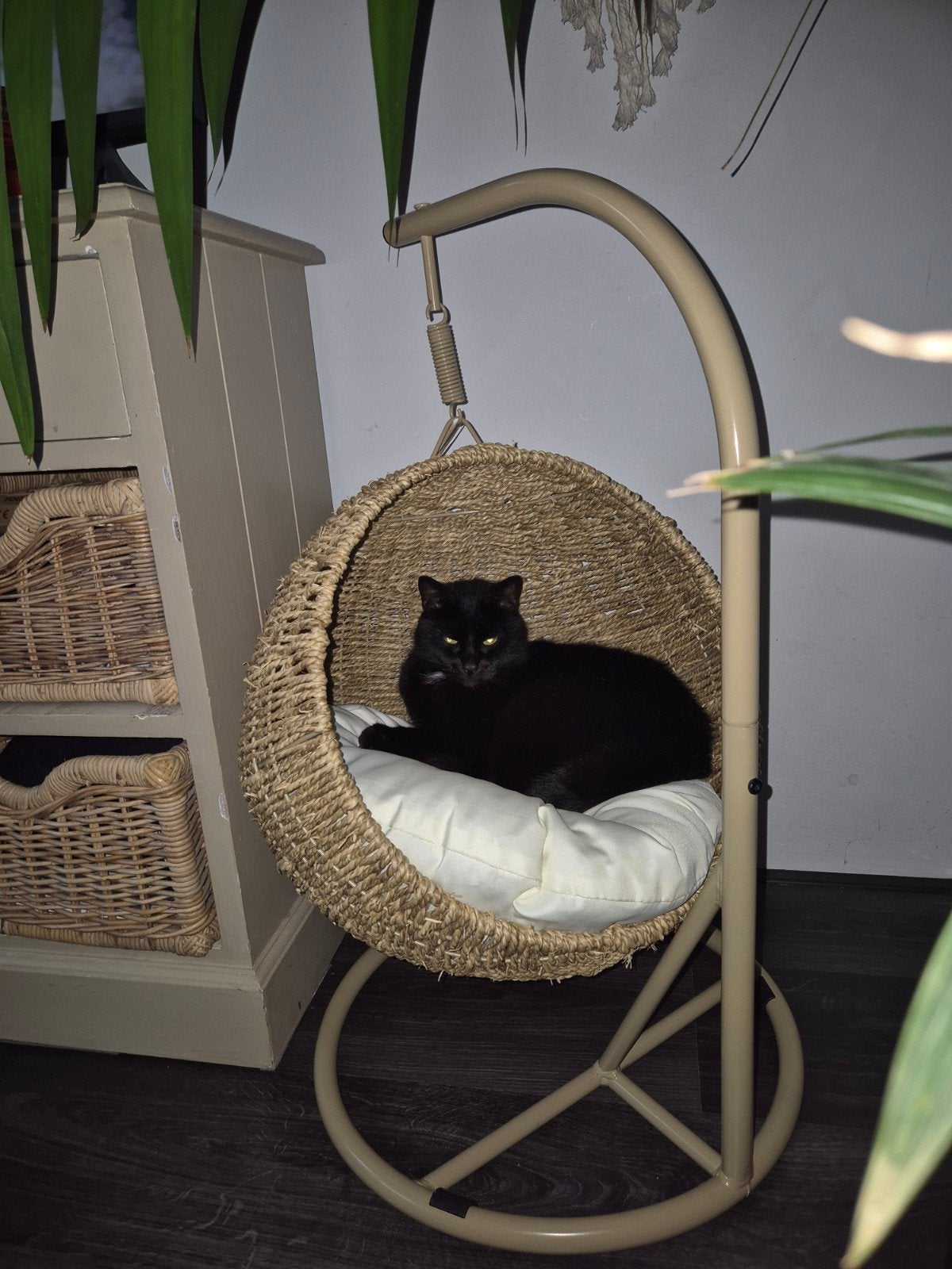 decoratieve katten hangmand, Dieren en Toebehoren, Ophalen, Zo goed als nieuw