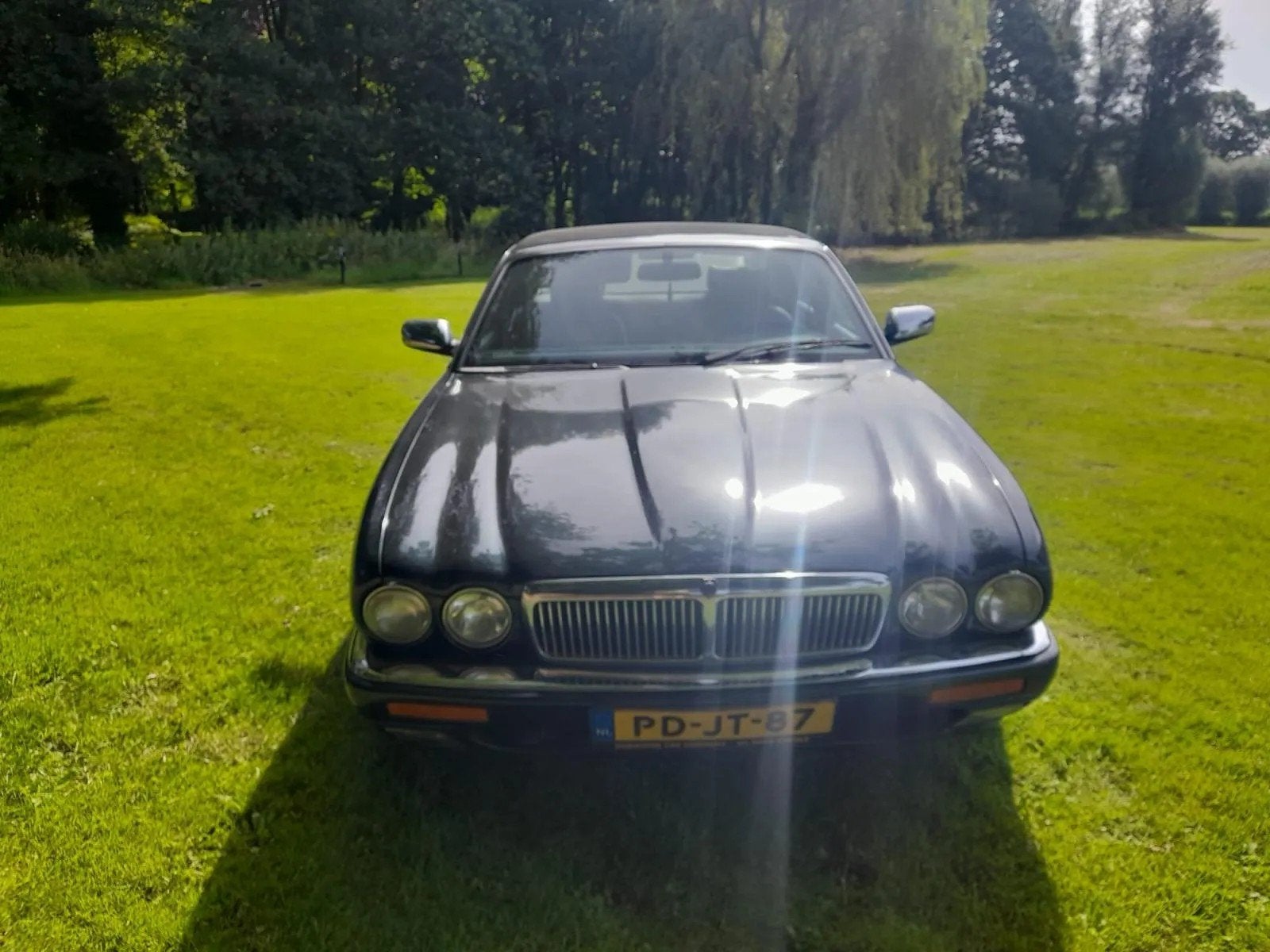 Jaguar XJ X300 XJ6 XJ300 3.2 executive, foto 9
