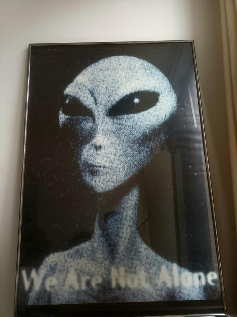 Grote ingelijste Alien poster "We Are Not Alone", Ophalen, Gebruikt, Foto of Poster, 75 cm of meer