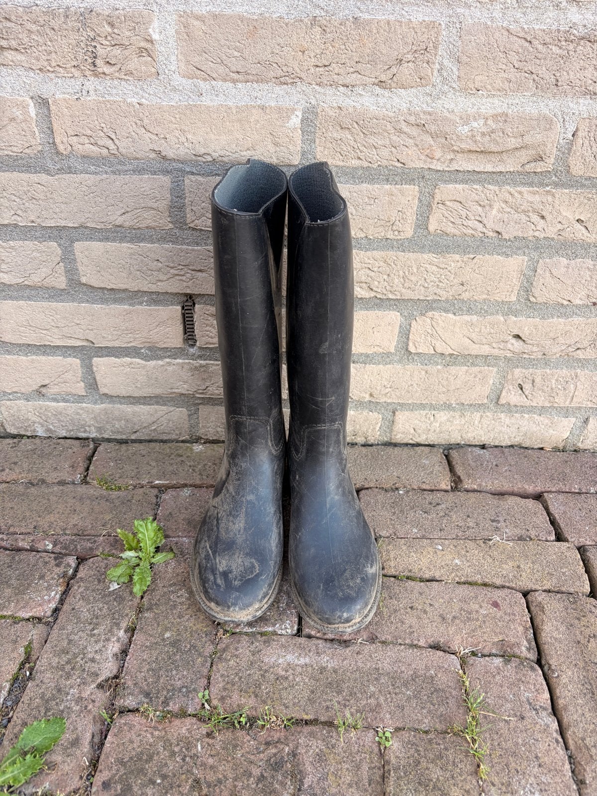 Paardrijlaarzen maat 33, Ophalen, Gebruikt