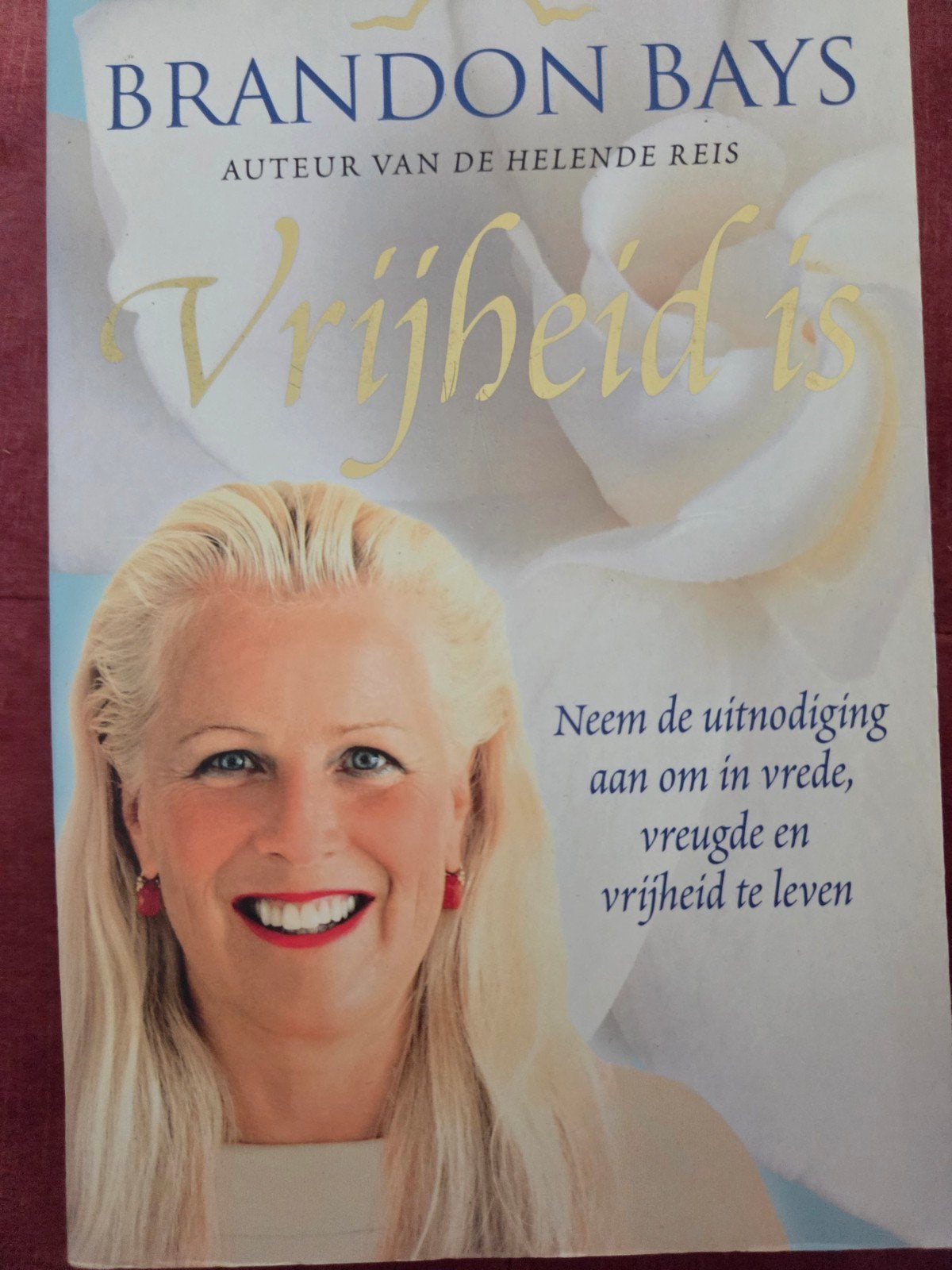 Vrijheid is - Brandon Bays (Zo goed als nieuw), Boeken, Achtergrond en Informatie, Spiritualiteit algemeen, Brandon Bays, Ophalen of Verzenden