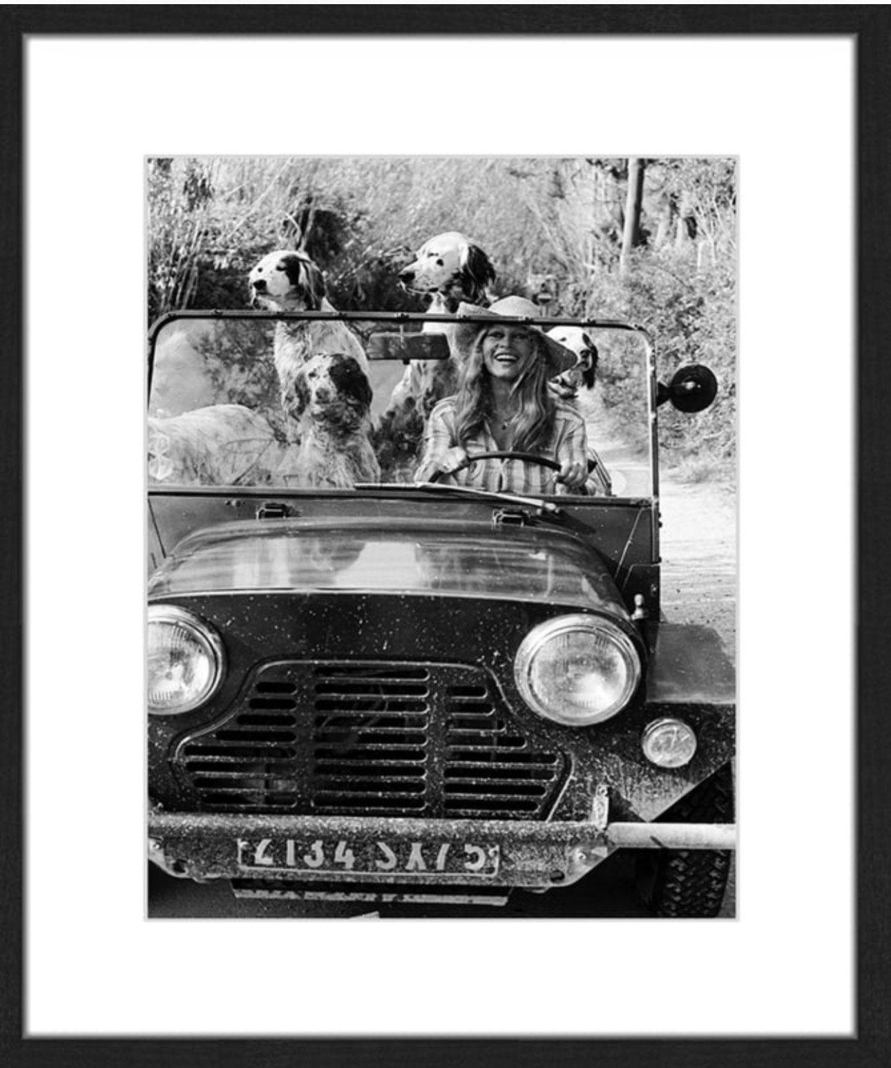 GEZOCHT Brigitte Bardot with dogs Rivièra Maison, Ophalen