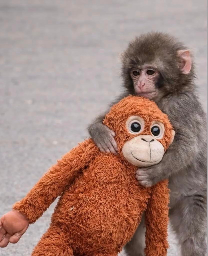 Punch Ikea, Kinderen en Baby's, Speelgoed | Knuffels en Pluche, Ophalen of Verzenden, Nieuw, Overige typen