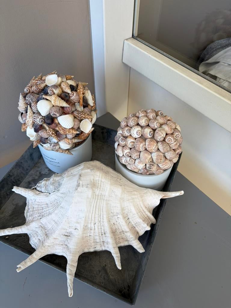 Schelpenbollen. V binnen/buiten, Ophalen, Zo goed als nieuw