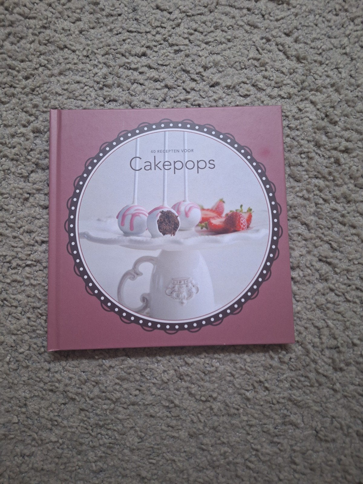 cakepop recepten boekje!, Ophalen of Verzenden, Nieuw, Overige gebieden, Taart, Gebak en Desserts