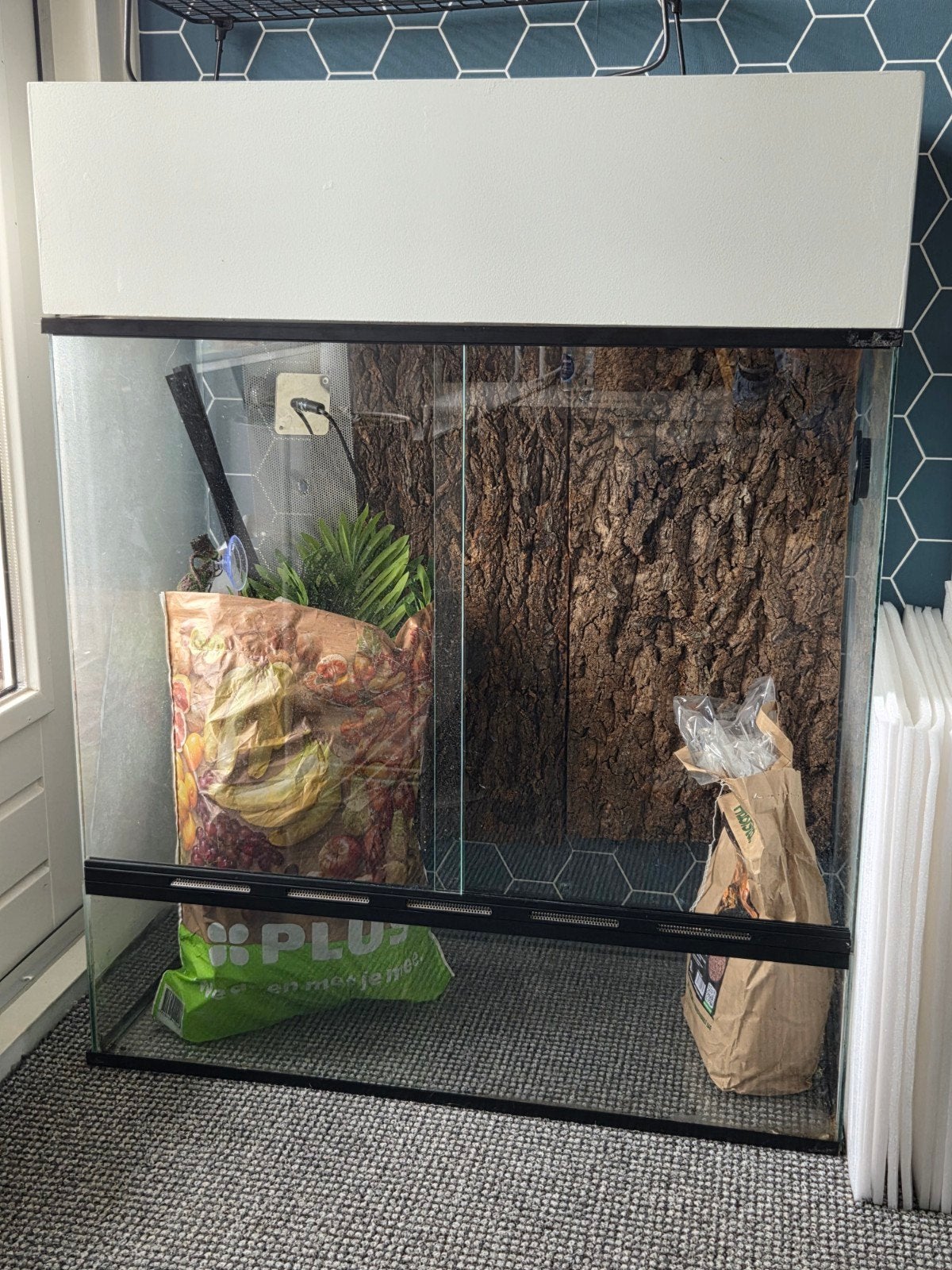 Gebruikt terrarium goed voor een 2e ronde, Ophalen, Gebruikt, Terrarium of Paludarium