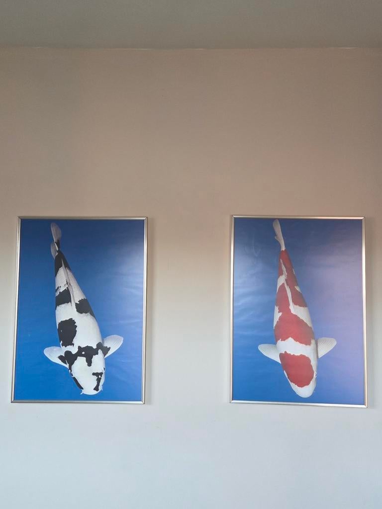 2x vissen posters ingelijst, Ophalen