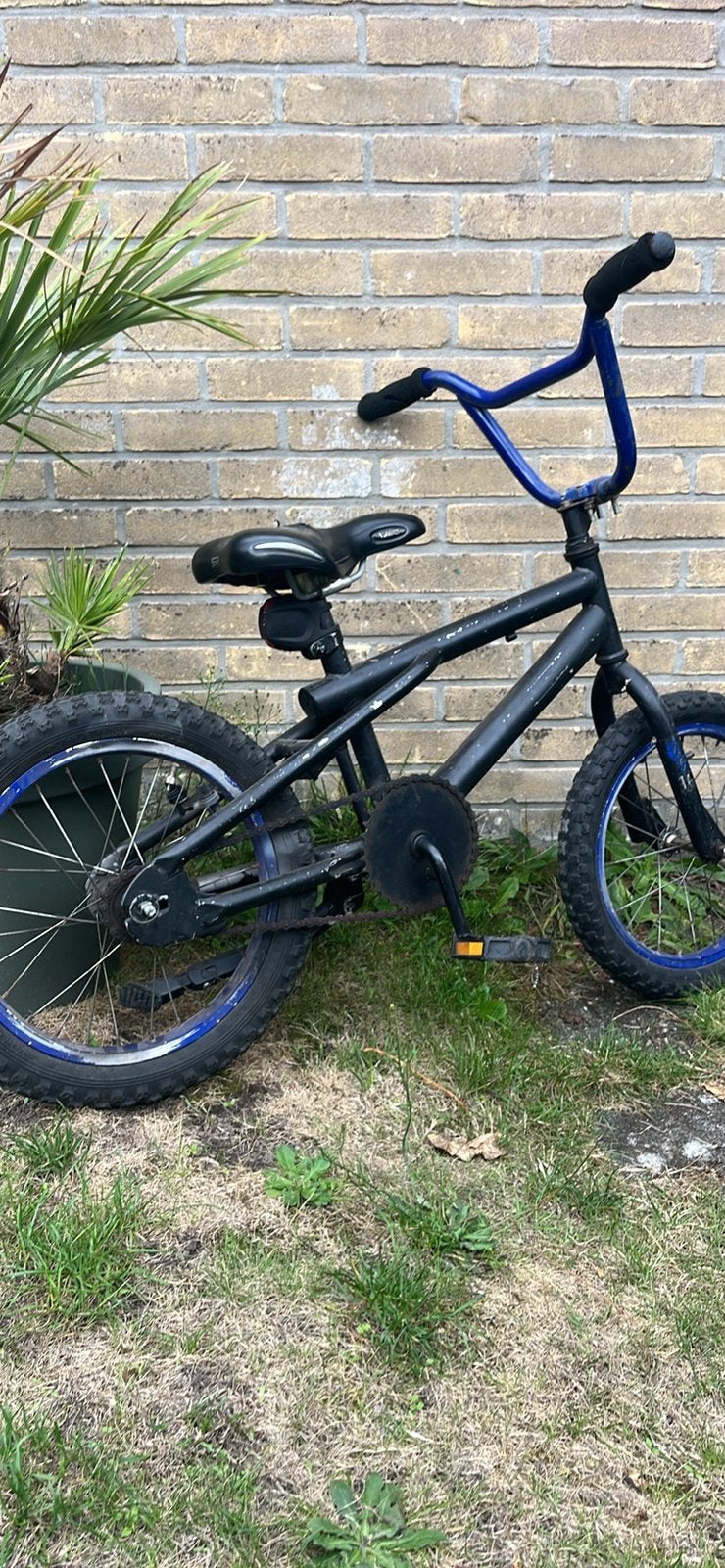 Crosfietsje, Ophalen, Terugtraprem, Staal, Stuur 360° draaibaar