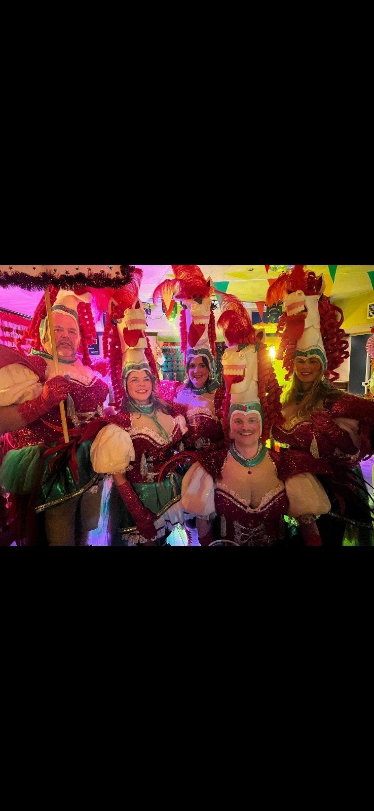 Loopgroep Carnavalskleding' Paarden Club' optocht, Kleding | Dames, Carnaval, Ophalen of Verzenden, Onbekend, Kleding