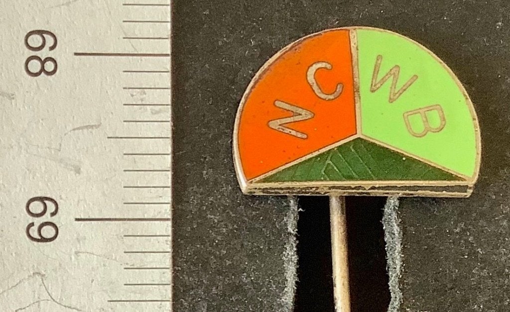 speld, Emaille, N.C.W.B. (AR, Ophalen of Verzenden, Gebruikt, Sport, Speldje of Pin