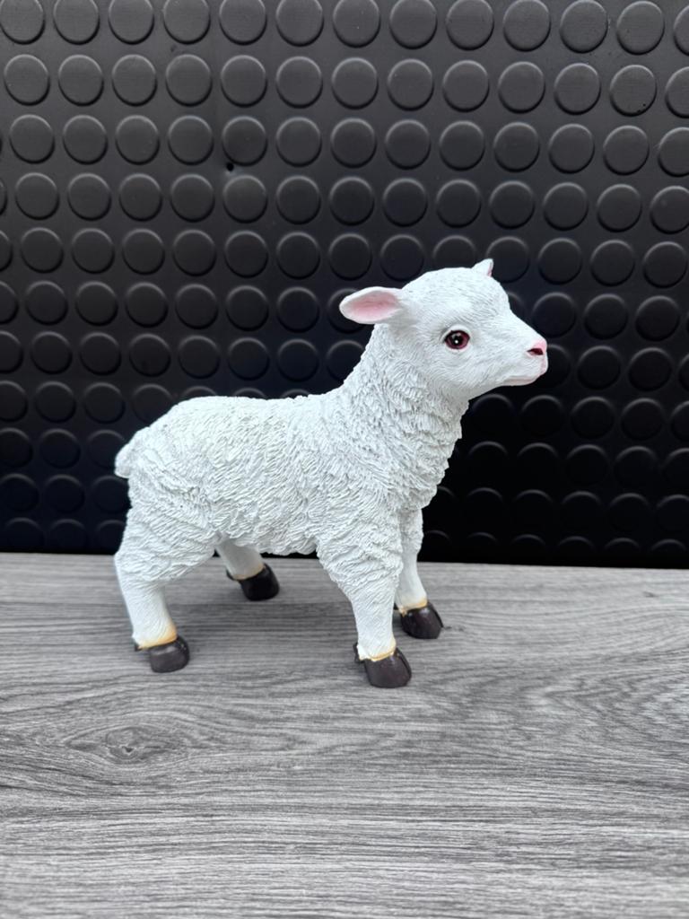lammetje 18x18cm/Nieuw!, Ophalen of Verzenden, Nieuw, Dier