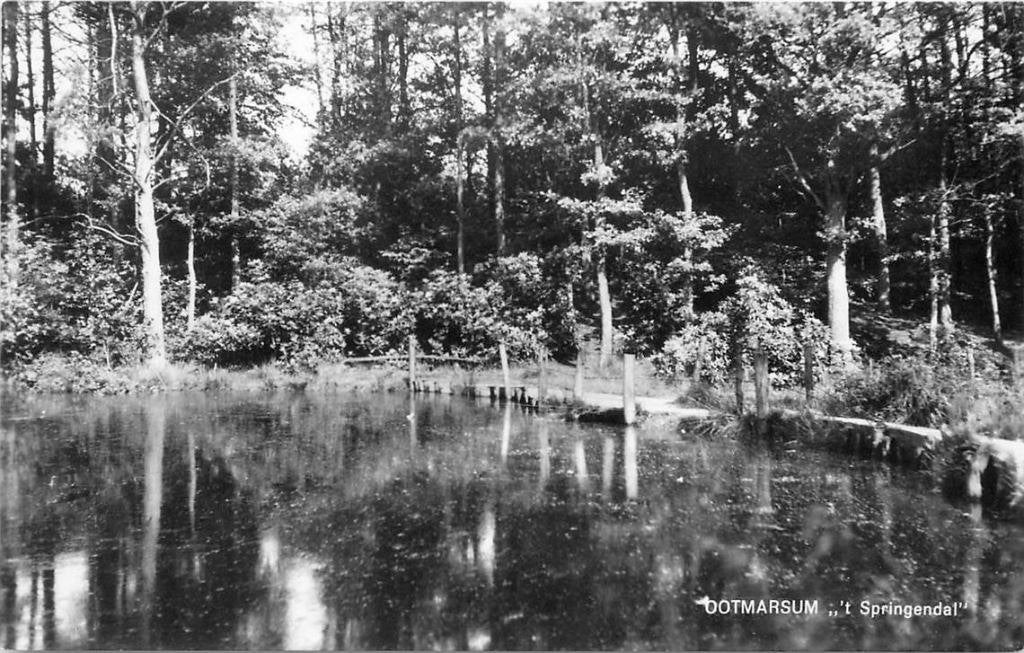 388-455-039 Ootmarsum t Springendal, Verzenden, Voor 1920, Overijssel