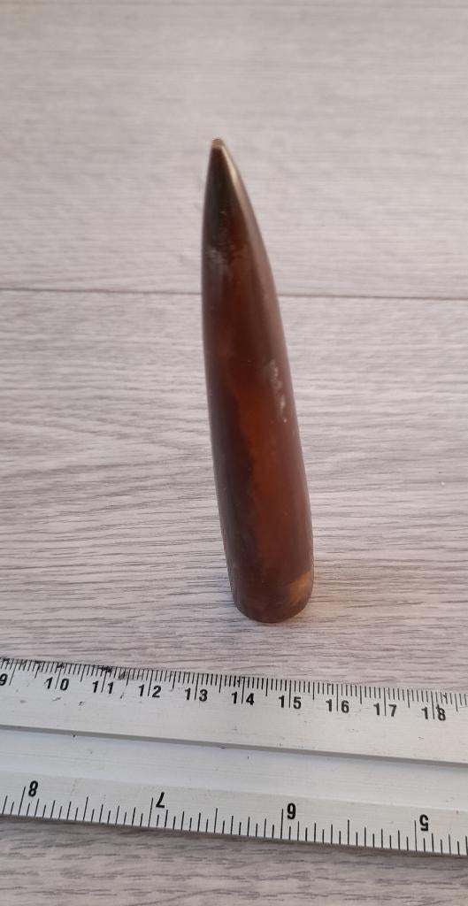 Mooie grote belemniet fossiel uit Lyme Regis steen inktvis, Ophalen of Verzenden, Fossiel