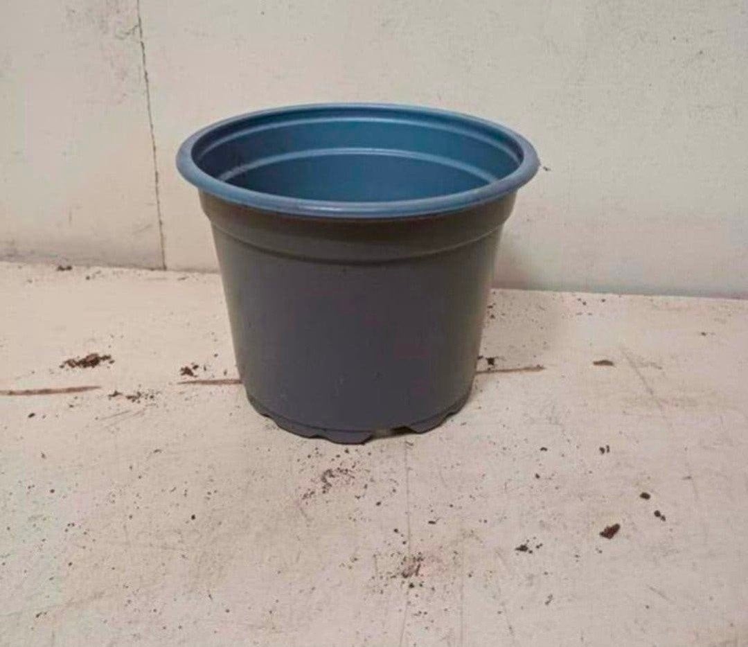 kweekpotten plantenpotten bloempotten 2 liter, Kunststof, Gebruikt, Rond, Ophalen of Verzenden