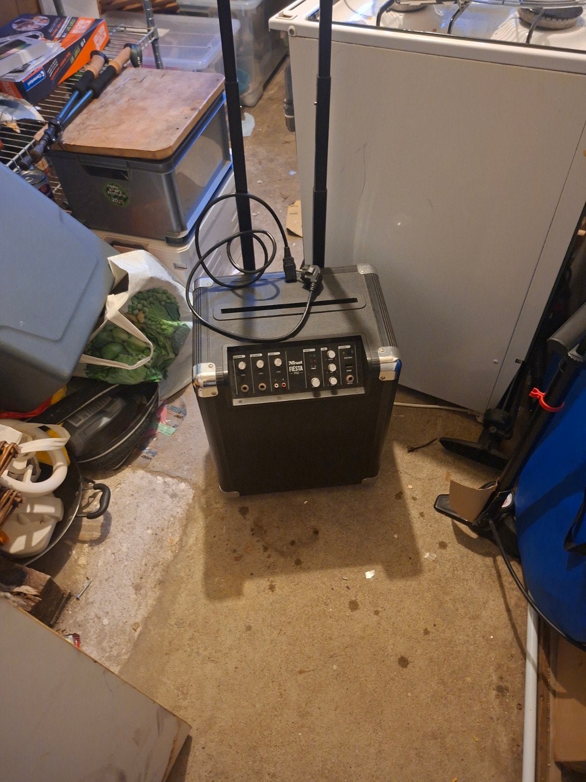 Draagbare geluidsinstallatie met microfoon, Ophalen of Verzenden, Gebruikt, Overige typen