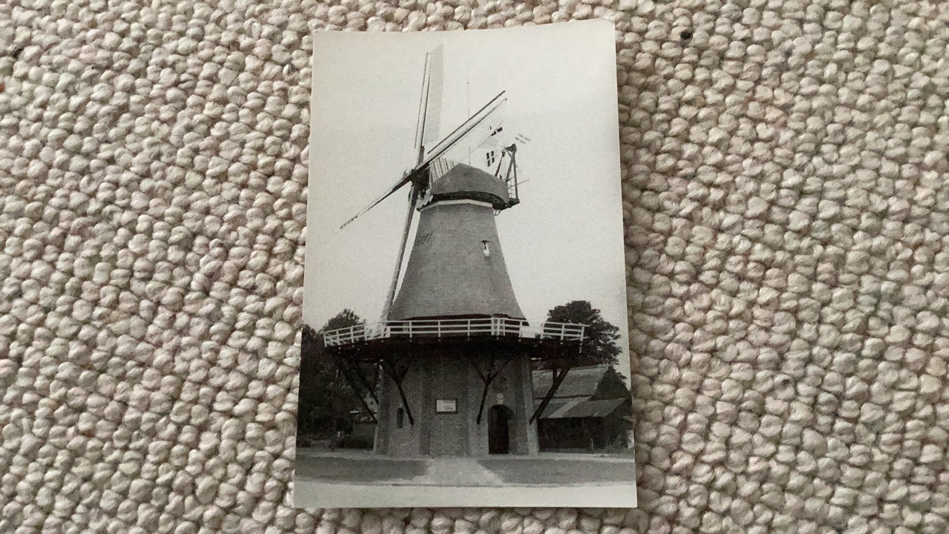 Ansichtkaart Nijeveen Molen De Sterrenberg. 923, Ophalen of Verzenden, 1940 tot 1960, Ongelopen, Drenthe