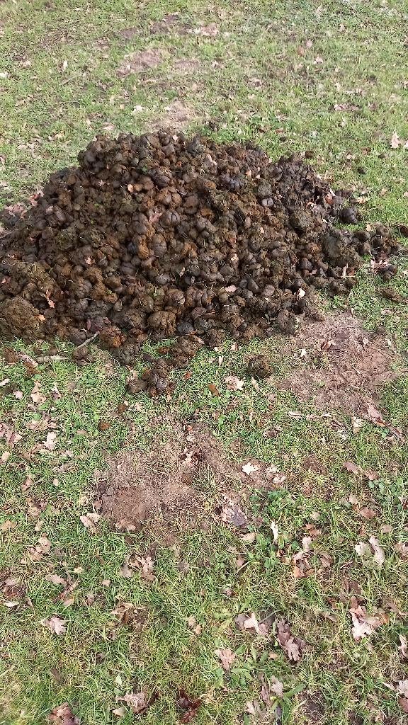 PRIMA PONY MEST MOOI KARRETJE VOL, Tuin en Terras, Aarde en Mest, Ophalen, Mest