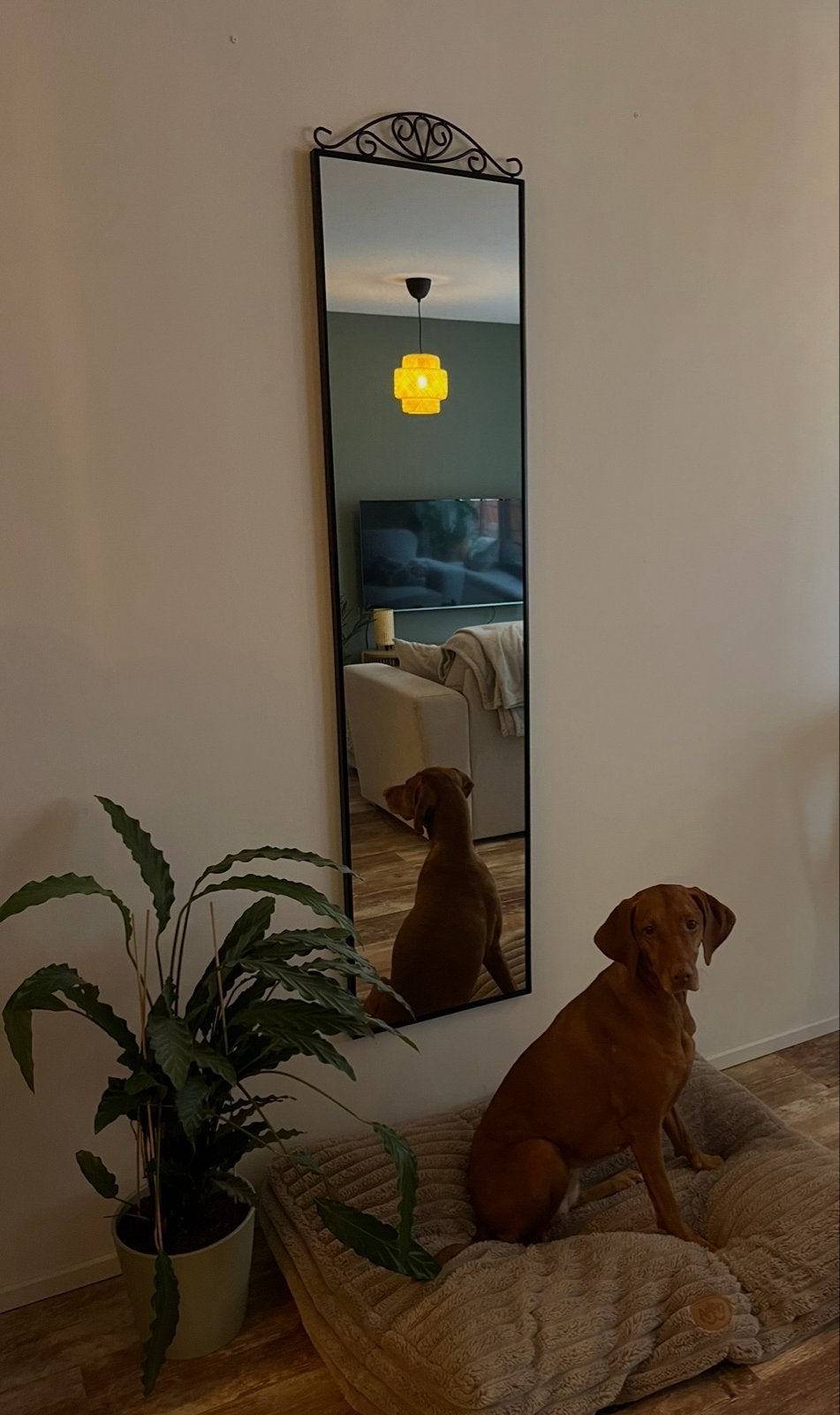 IKEA mirror, Huis en Inrichting, Minder dan 50 cm, Ophalen of Verzenden, Zo goed als nieuw, 150 tot 200 cm