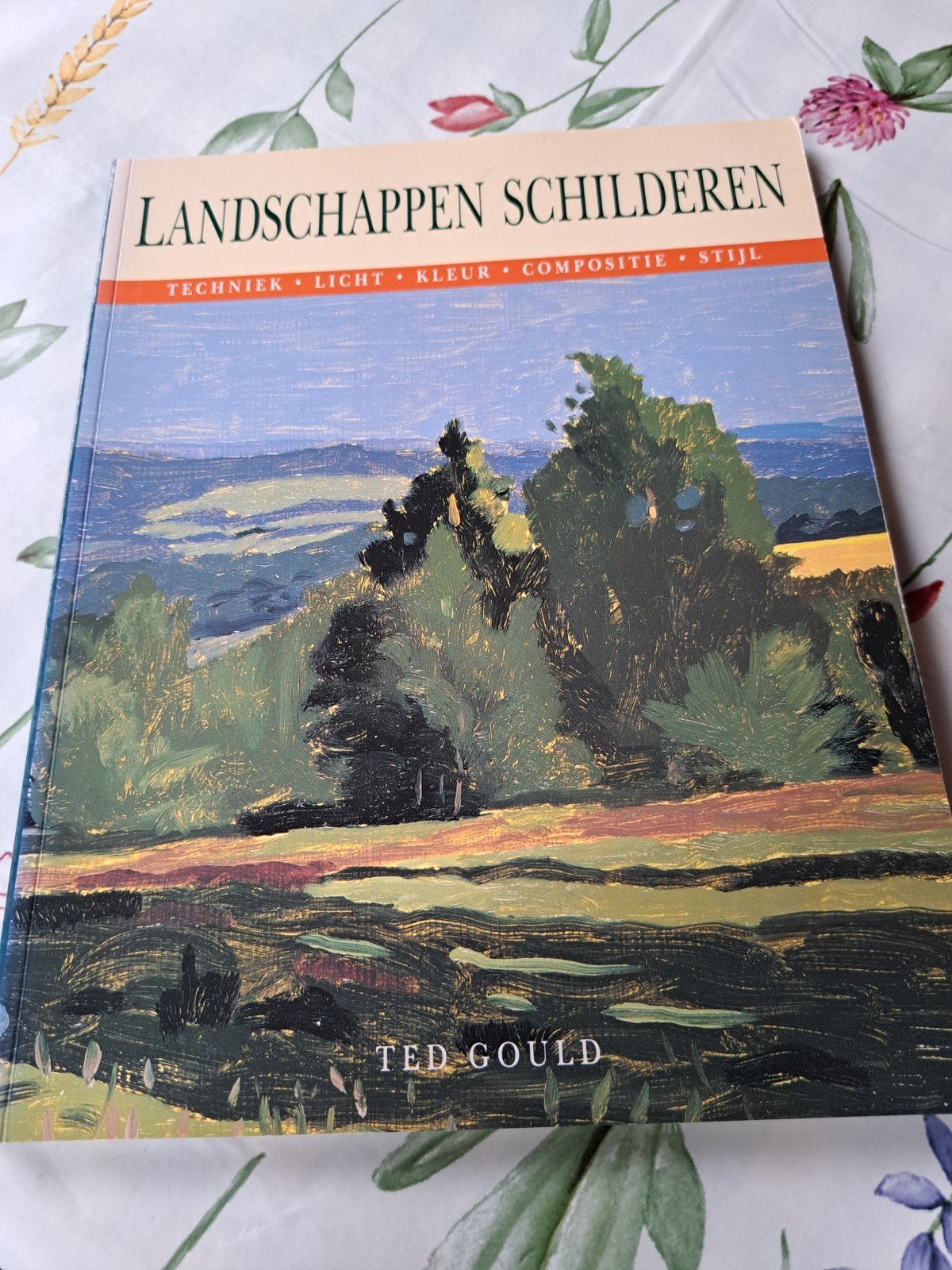 Z: Landschappen Schilderen, Ophalen of Verzenden, Zo goed als nieuw, Schilder- en Tekenkunst, Ted Gould