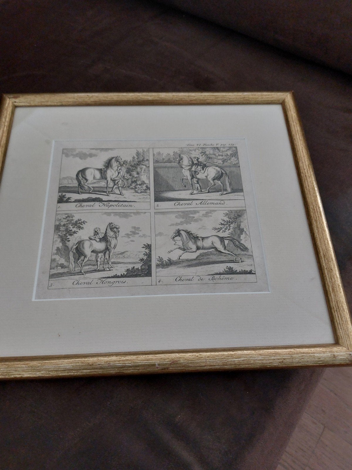 Kunst Paarden afbeeldingen, Ophalen of Verzenden