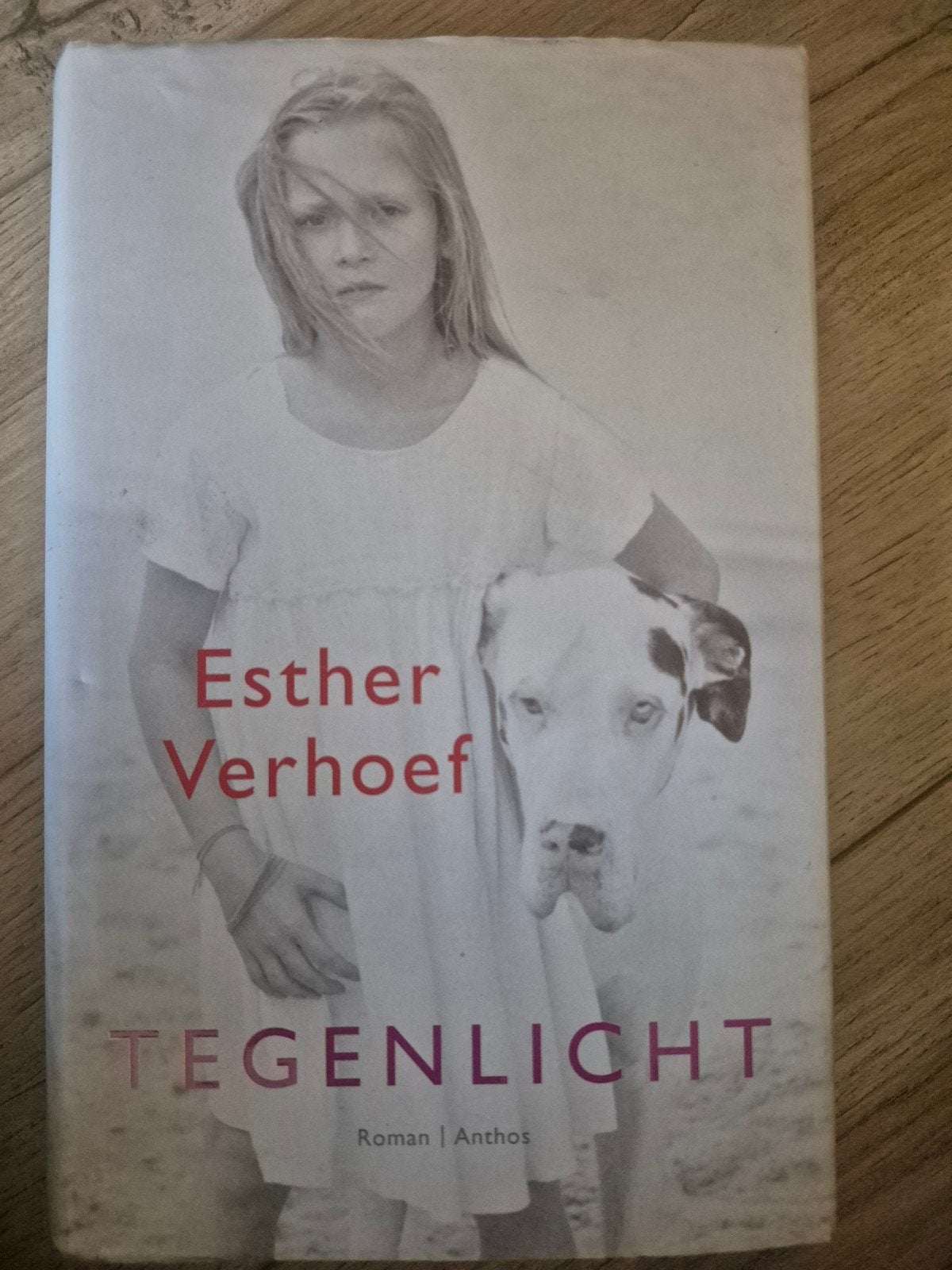 Tegenlicht - Esther Verhoef (Roman), Boeken, Romans, Gelezen, Nederland, Ophalen of Verzenden