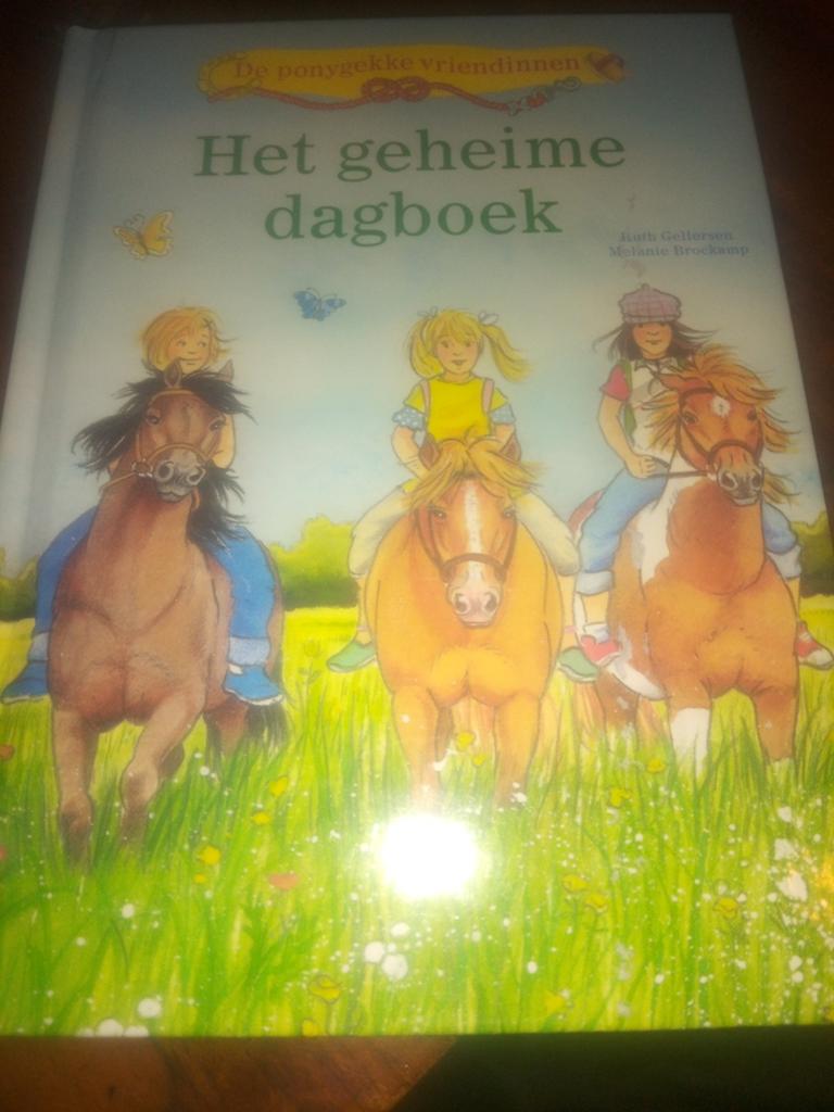Het geheime dagboek, Verzenden, Fictie algemeen