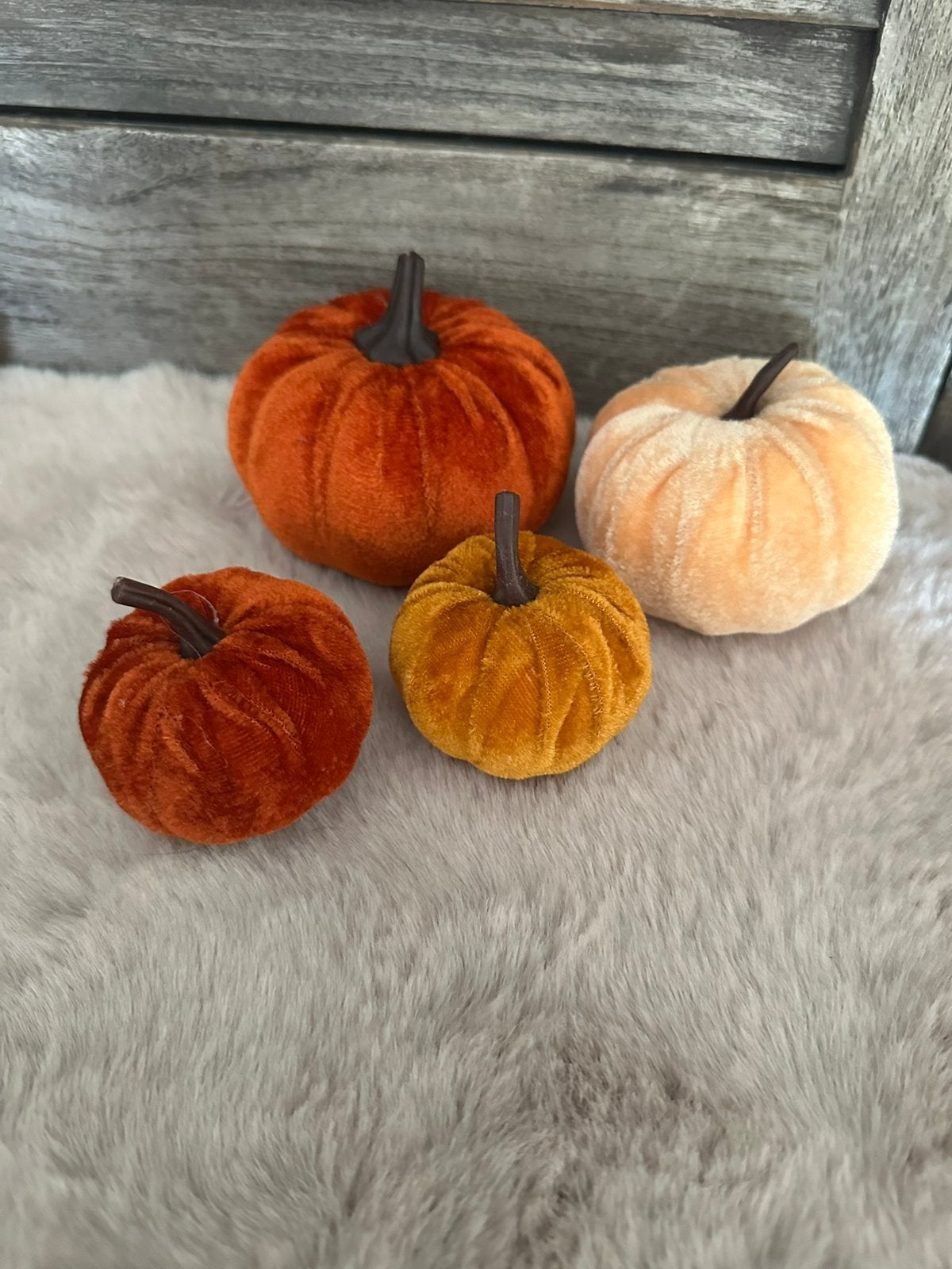 Herfstdecoratie / pompoenen / 4 stuks, Ophalen of Verzenden, Nieuw