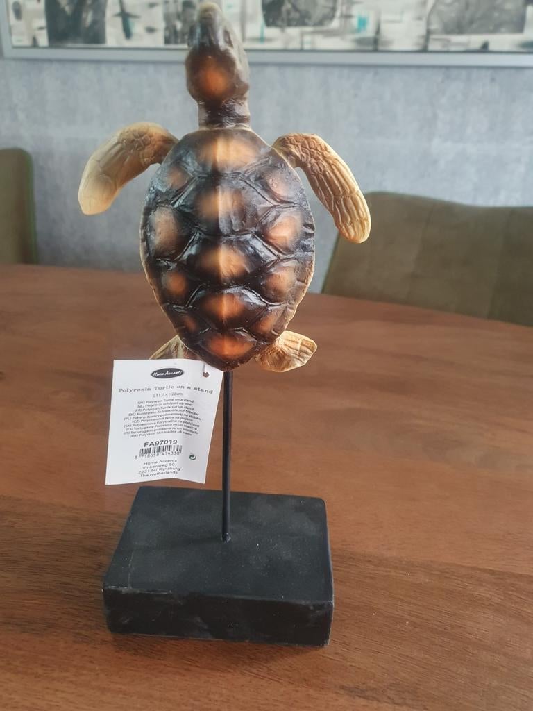 Decoratieve Schildpad op Voet - Nieuw, Meerkleurig, Overige materialen, Overige stijlen, Nieuw