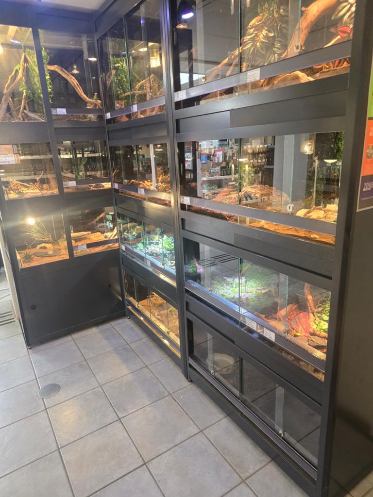 Terraria, reptielen en alle benodigdheden, Ophalen, Hoeben, Nieuw, Hoeben