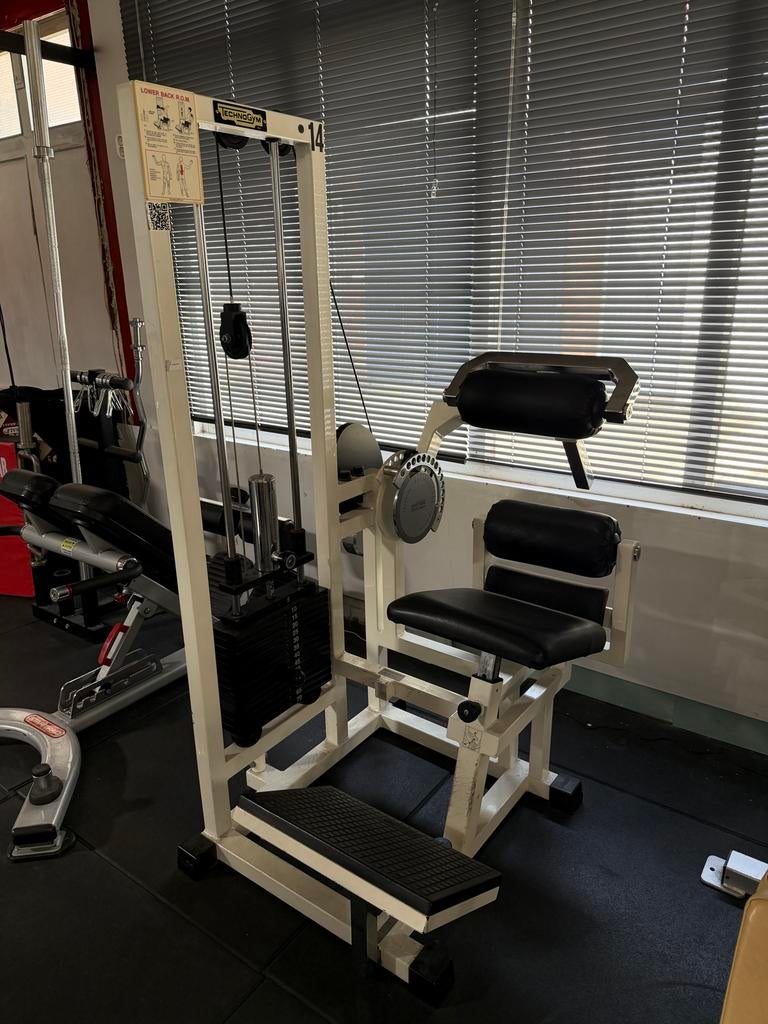 Professionele Lower Back Fitness Machine - Zo goed als nieuw, Sport en Fitness, Ophalen, Rug, Krachtstation, Zo goed als nieuw